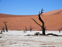 Dead Vlei